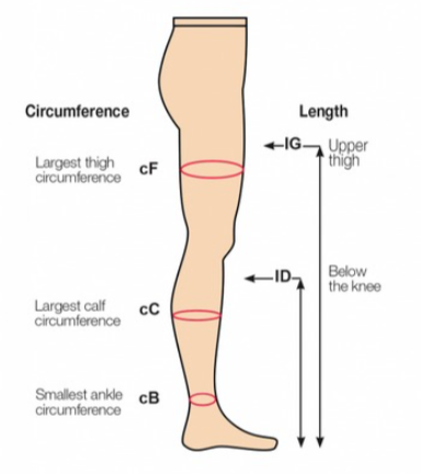 Compression Leg Aids, Stockings Socks Size Selection Guide, Jinni ...